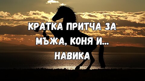 Кратка притча за мъжа, коня и... навика