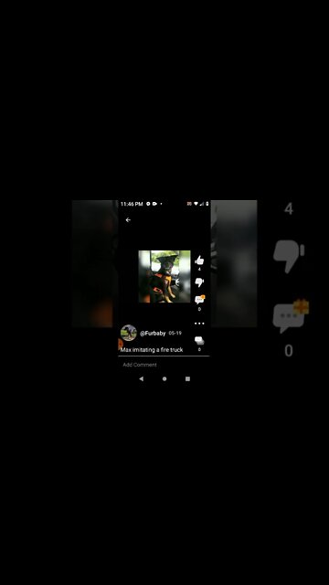 Max imitating a fire truck.🐾💜🤗