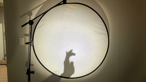 shadow kangaroo
