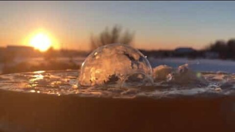 Frysta bubblor ser ut som snöglobar!