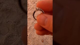 beach detecting ring #shorts #silver