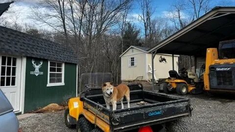 Winter work at our Craig county cabin. Picking rocks and getting wood chips.