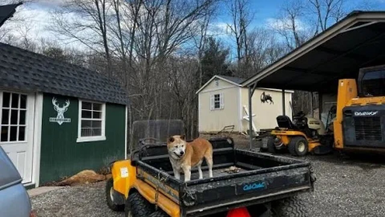 Winter work at our Craig county cabin. Picking rocks and getting wood chips.