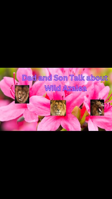 Dad and Son Talk about Wild Azaleas