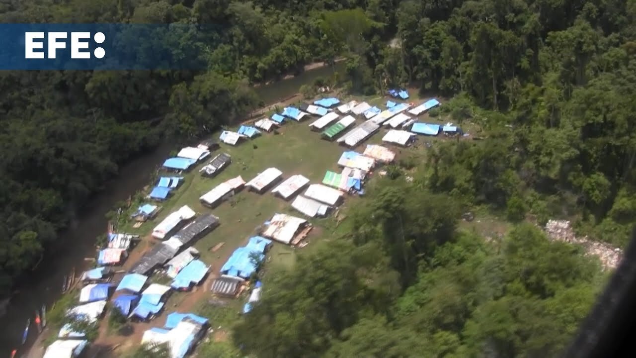 Descubren campamento clandestino de migrantes irregulares en la selva del Darién