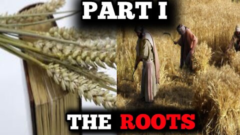 The Wheat And The Tares - The Seed War