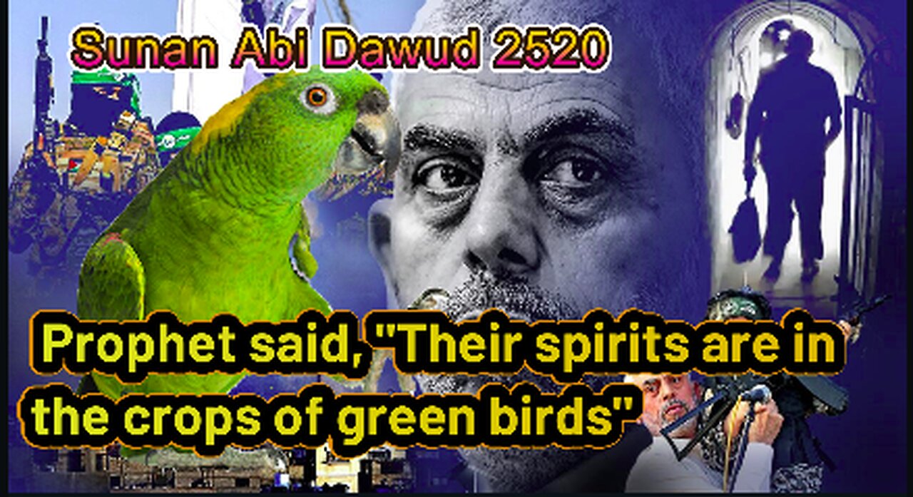 Breaking news Yahya Sinwar become a green Bird