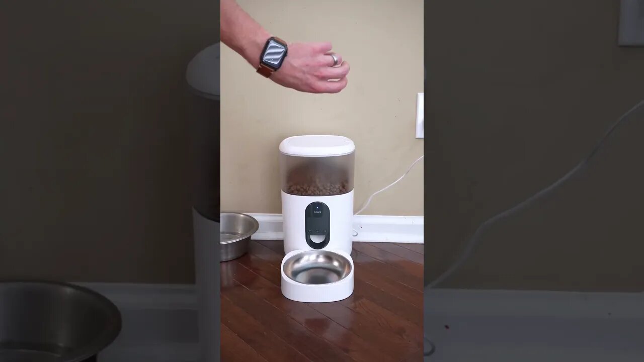 Smart Pet Feeder! 🐶 🐱