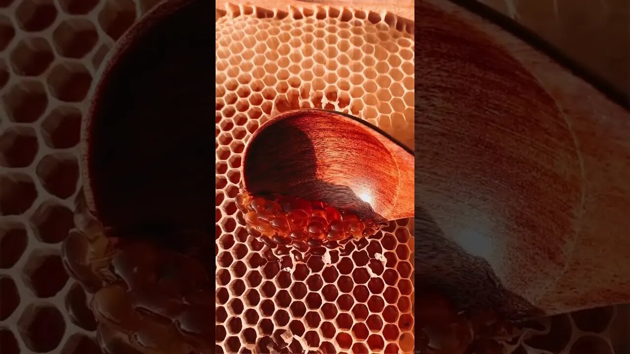 rate the satisfaction