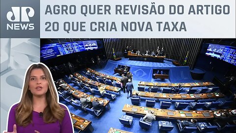 Kellen Severo: Senado pode melhorar a reforma tributária?