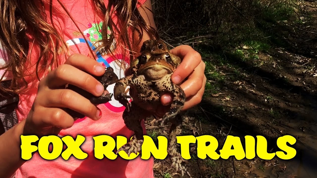 Avery's Fox Run Trails Video