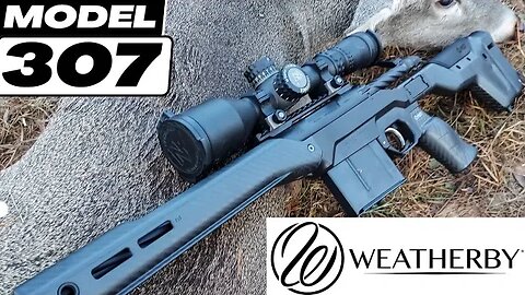 ***NEW*** Weatherby Model 307 vs DEER!!!!