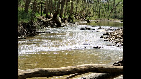 Come Sit For A Spell By Lobdell Creek !