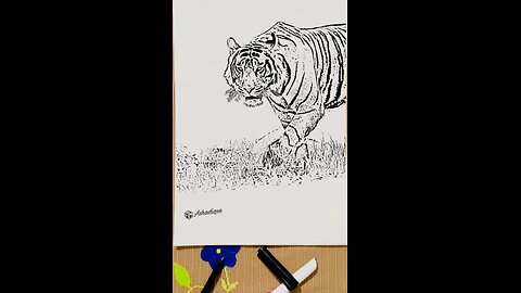 Make a tiger drawing video by hand