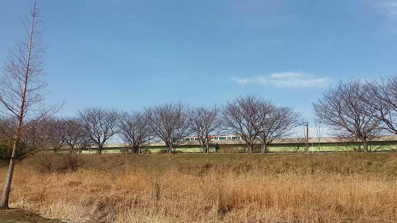 A light rail that runs through the forest in a natural park.