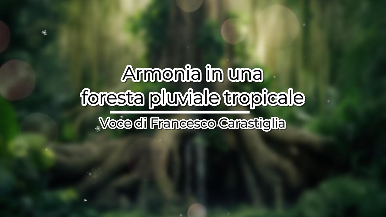 Meditazione guidata: Armonia in una foresta pluviale tropicale