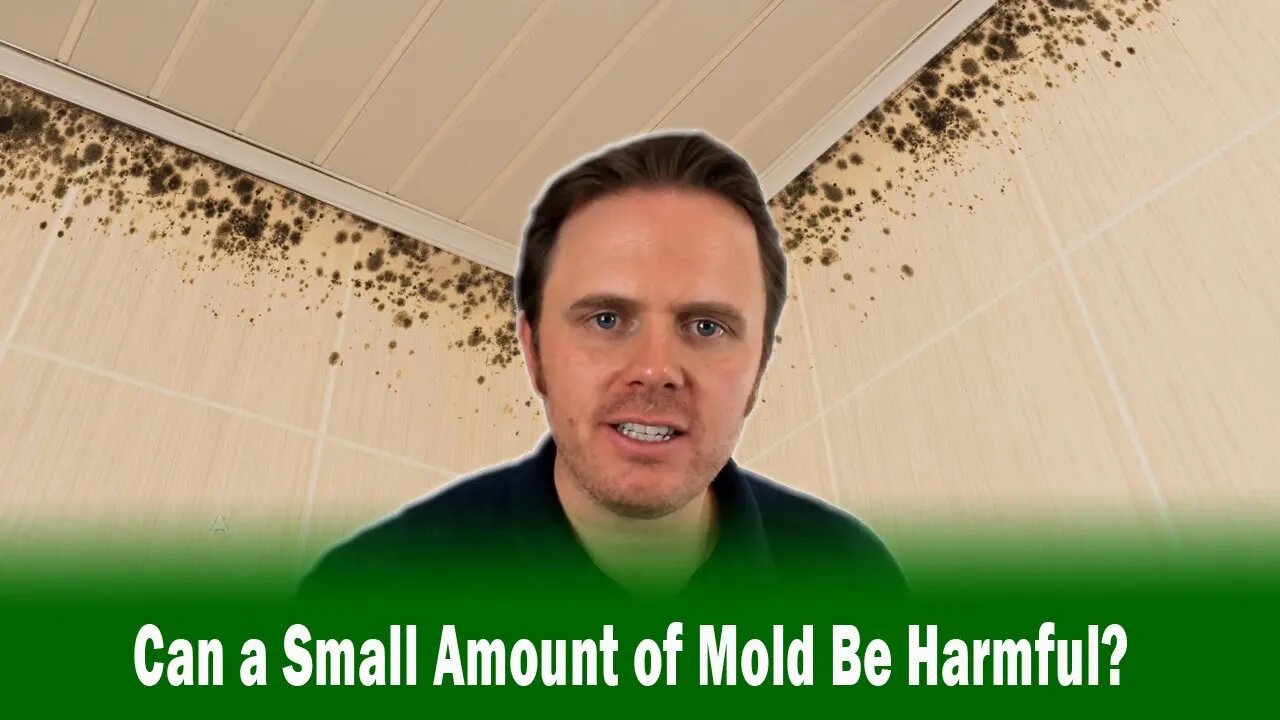 Can a Small Amount of Mold Be Harmful?