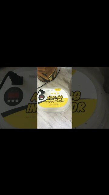 MagicFly Auto egg Incubator (it actually worked)