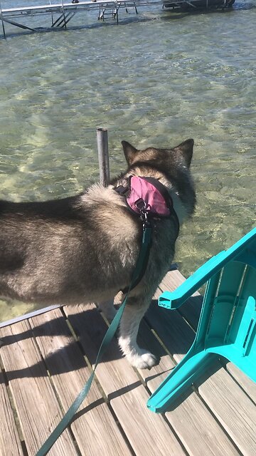 Shabbat Sholem Saturday Sept 28, They praise the greedy and curse the Lord.