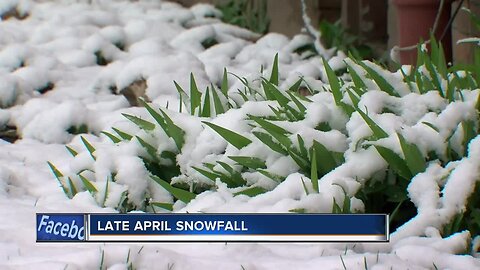 Winter makes surprising return to SE Wisconsin