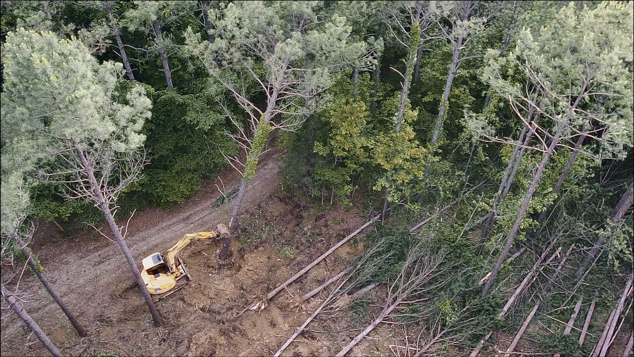 Day 38 - IT HAS BEGUN! Starting clearing 2 acres for my shop