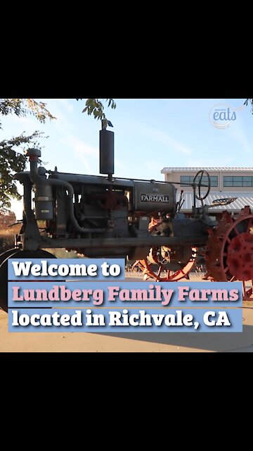 How Rice is Produced, Featuring Lundberg Family Farms