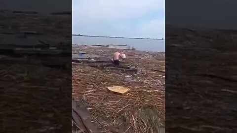 After the Ukraine Flood and Drifting 140 km on a Plank Dog Gets Rescued