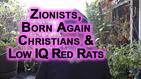People That Support Israel’s Genocide in Gaza Are Zionists, Born Again Christians or Low IQ Red Rats