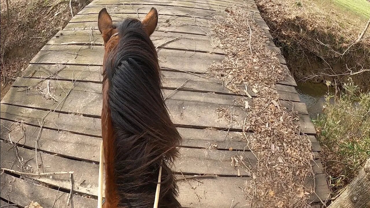 Riding Fences to survey Ice storm damage.