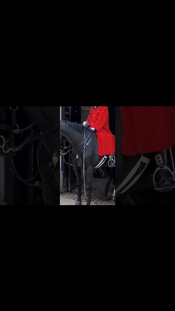 The chain is broken #horseguardsparade