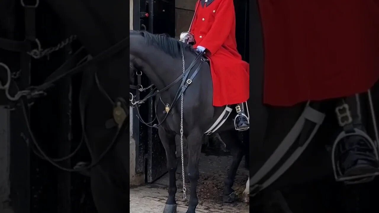 The chain is broken #horseguardsparade
