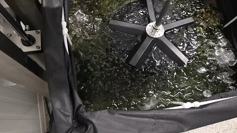Let's Wash Some Flower