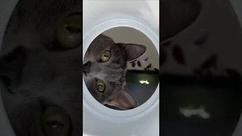 did you find anything?