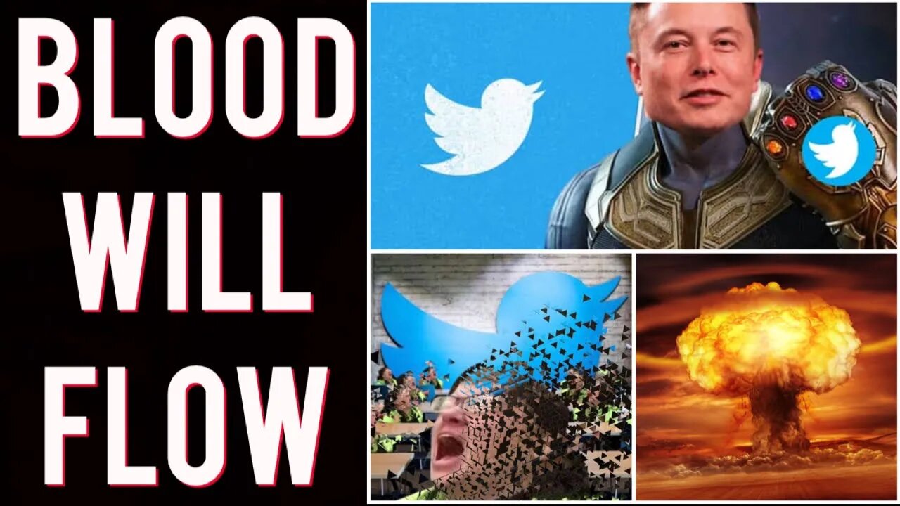 F THE WOKE! Elon Musk declares WAR on woke Twitter! Has legacy media SHOOK!