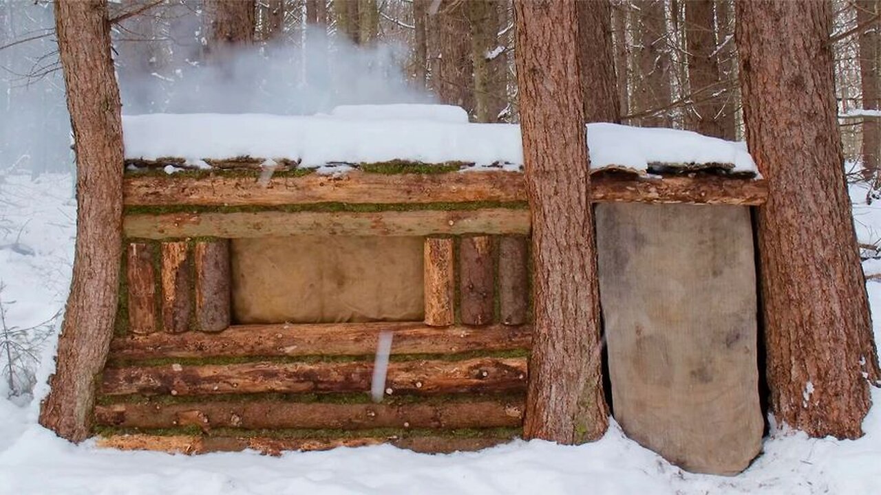 I built a wooden house supported on five Pines