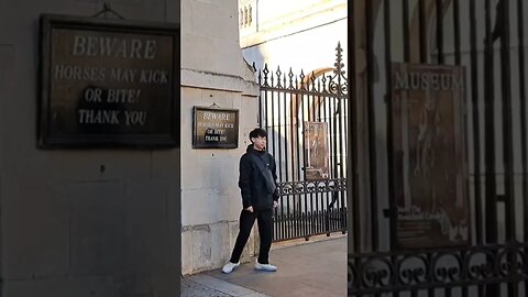 In awe of the kings guard #horseguardsparade