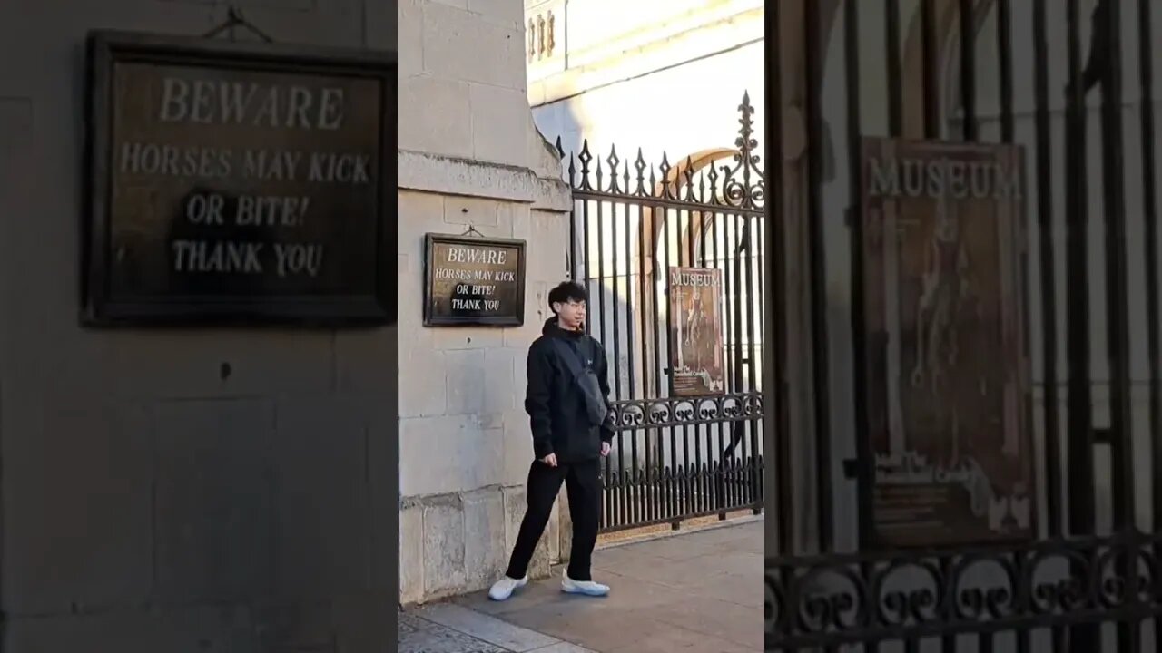 In awe of the kings guard #horseguardsparade