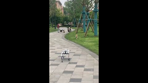 funny robo Dog 🐕🤣😂