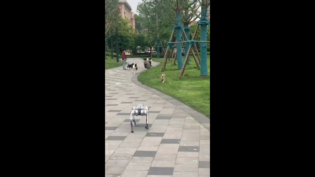 funny robo Dog 🐕🤣😂