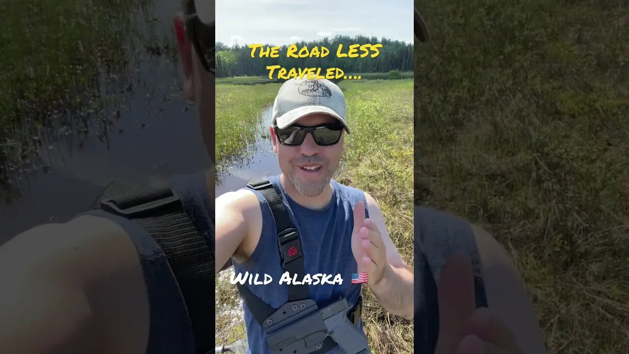 Off Road Adventures….. #alaska #nature #shorts
