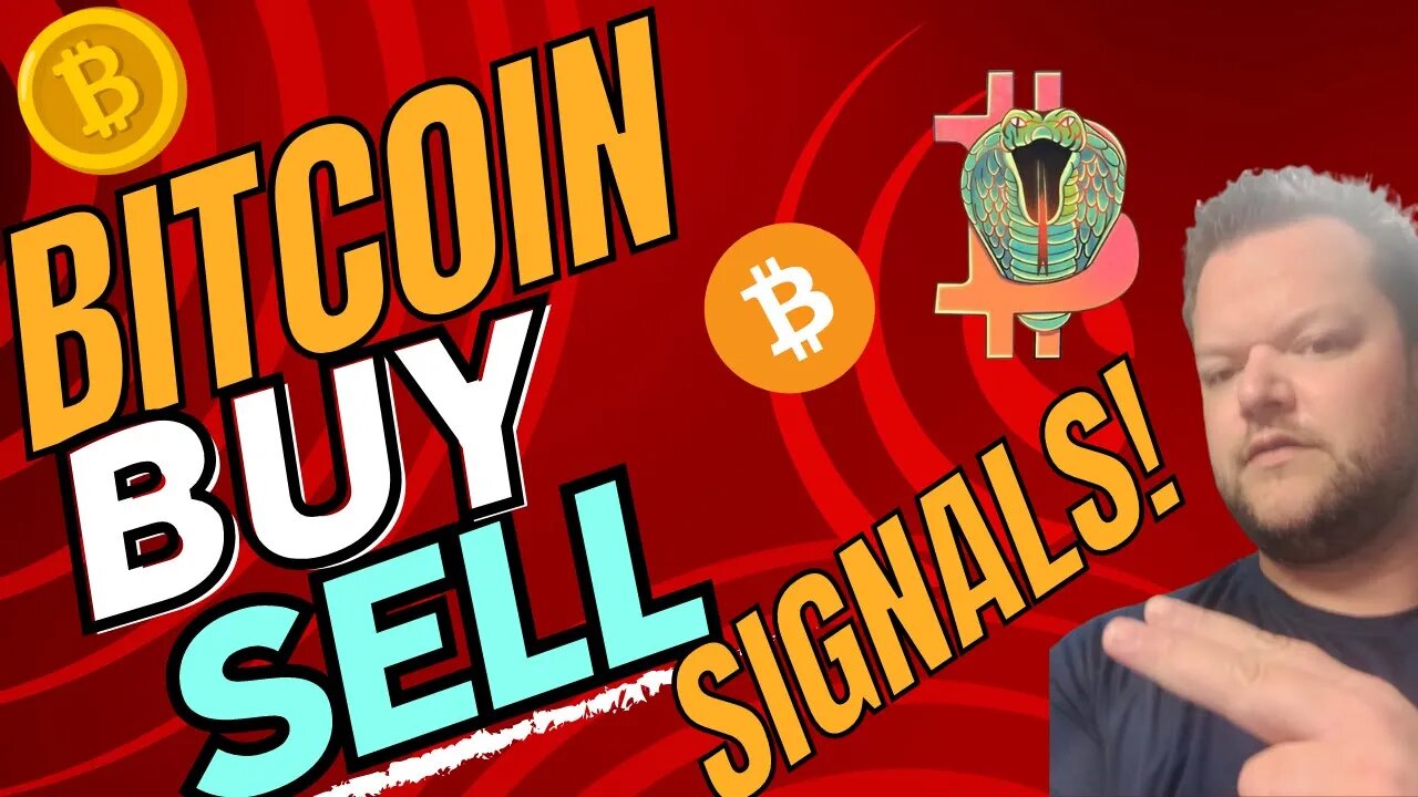 Bitcoin Live Sam Bankman Fried diary exposed! #bitcoinanalysis #btcnews