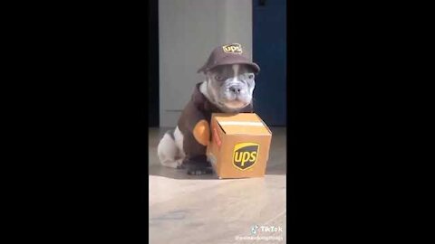 I Love Animals That Make me Laught!!!