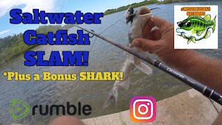 Saltwater Catfish SLAM!!