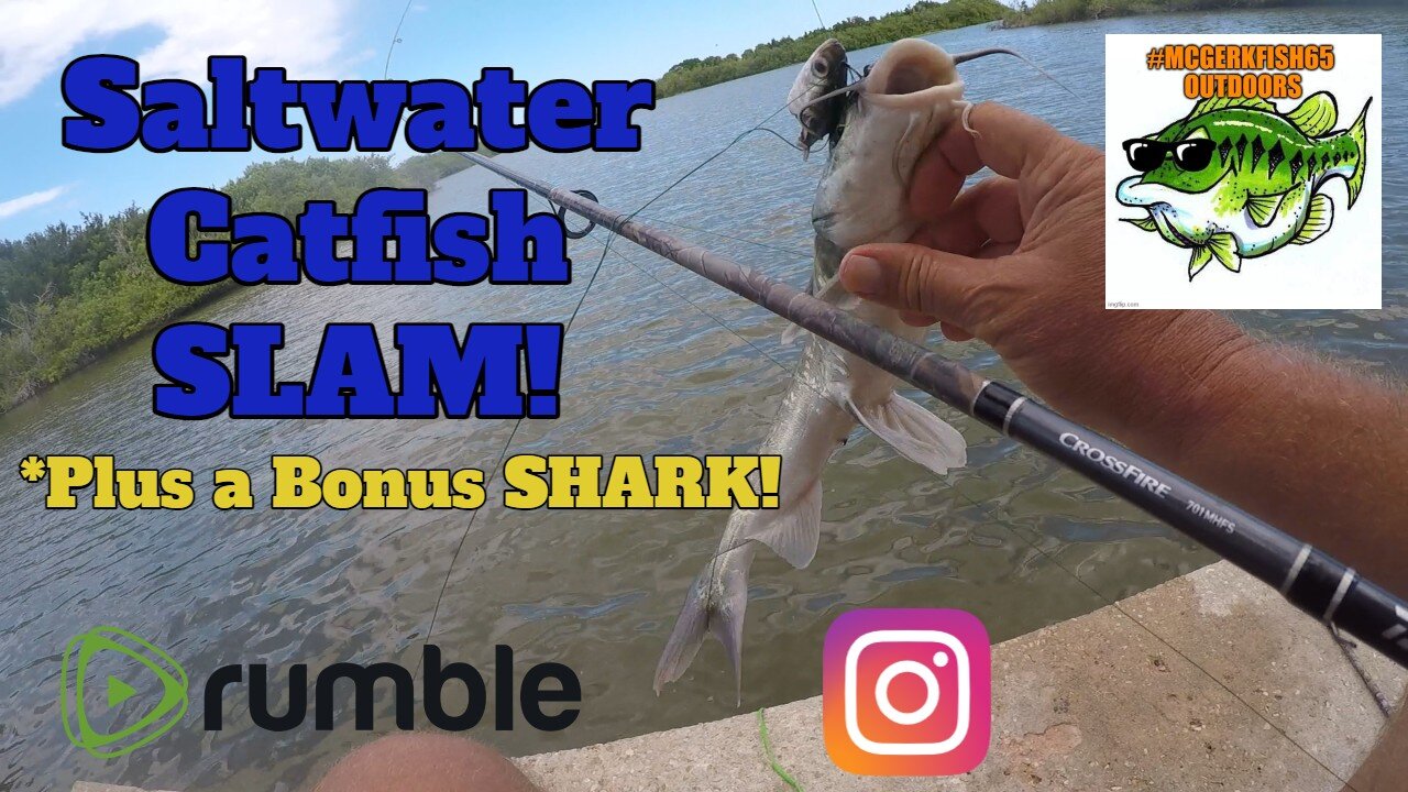 Saltwater Catfish SLAM!!