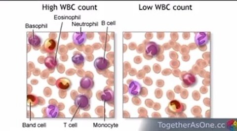 Nurse explaining what this clot shots are doing to the Immune System