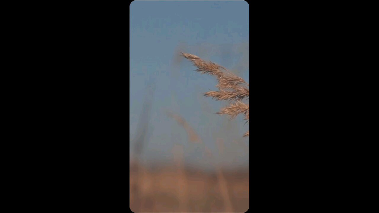 THIS IS WHAT GOD IS SAYING