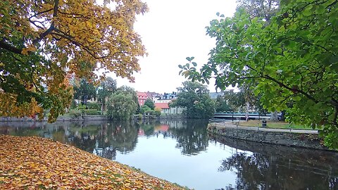 Räckte inte Golgata stora offer? 9 Okt. 2024