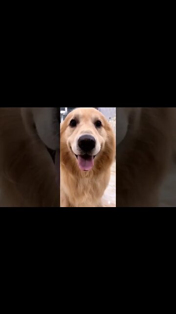 Good Morning World !! #short