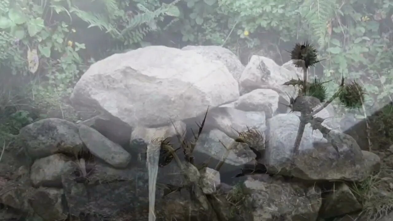 #menkıbe EN GÜZEL MENKIBELERDEN BİR BÖLÜM / "ALLAH'I UNUTMAYAN GÖNÜL."