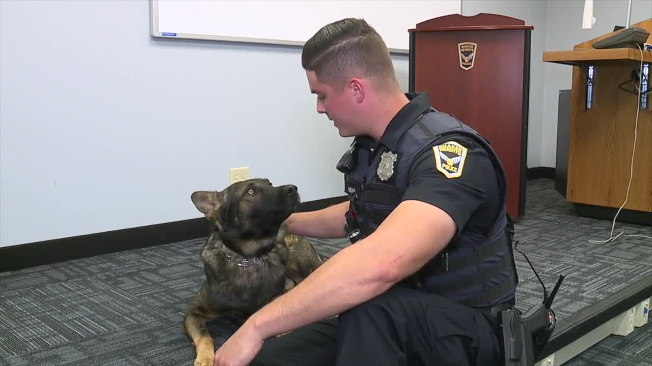 K-9 handlers take precautions to keep dogs away from opioids, other drugs